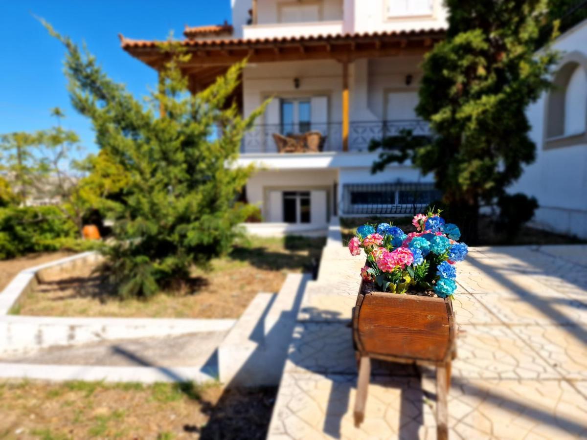 Villa Liana : Luxury Villa With Fantastic Sea View, Near Airport Pórto Ráfti Exteriör bild