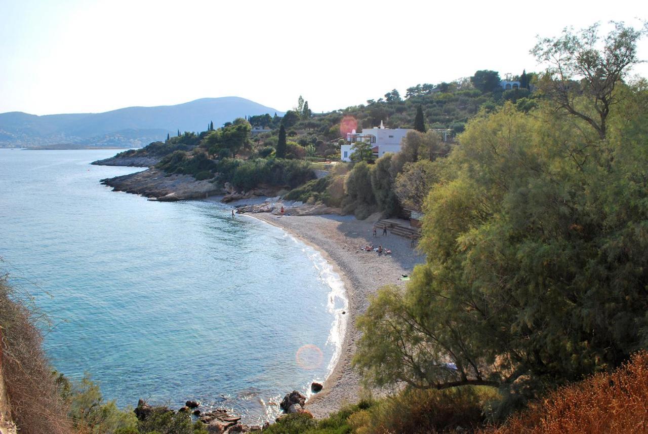 Villa Liana : Luxury Villa With Fantastic Sea View, Near Airport Pórto Ráfti Exteriör bild