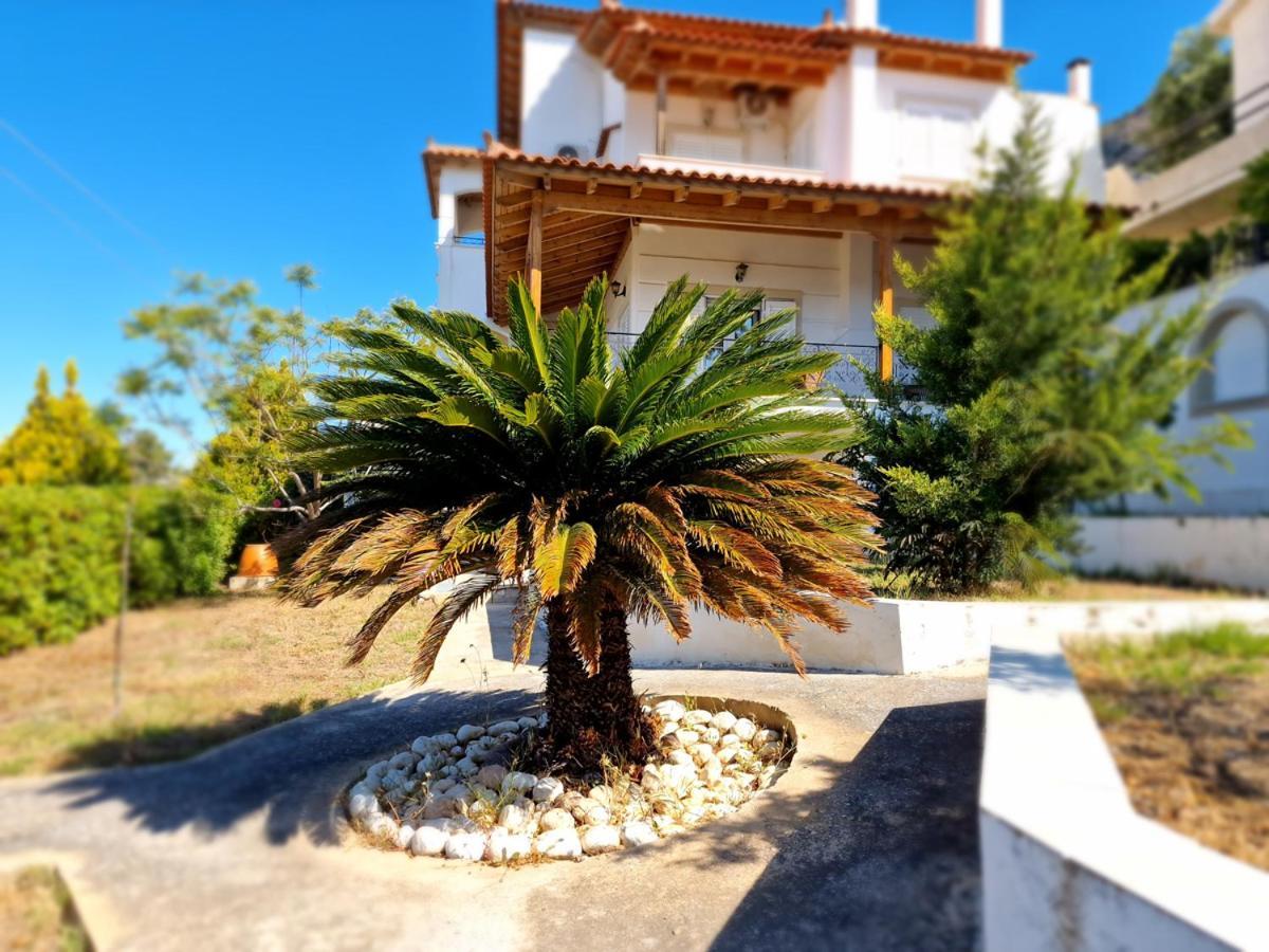 Villa Liana : Luxury Villa With Fantastic Sea View, Near Airport Pórto Ráfti Exteriör bild
